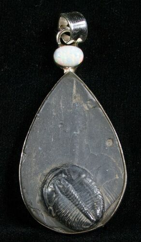 Sterling Silver Elrathia Trilobite Pendant #4866